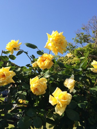 f:id:kidou:20140517151853j:image