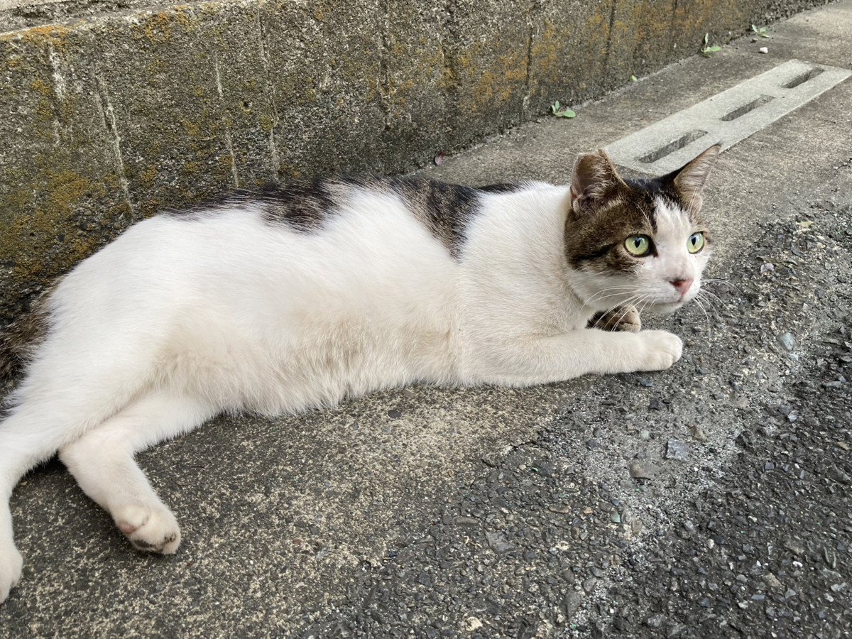 f:id:kidou:20210811113259p:plain