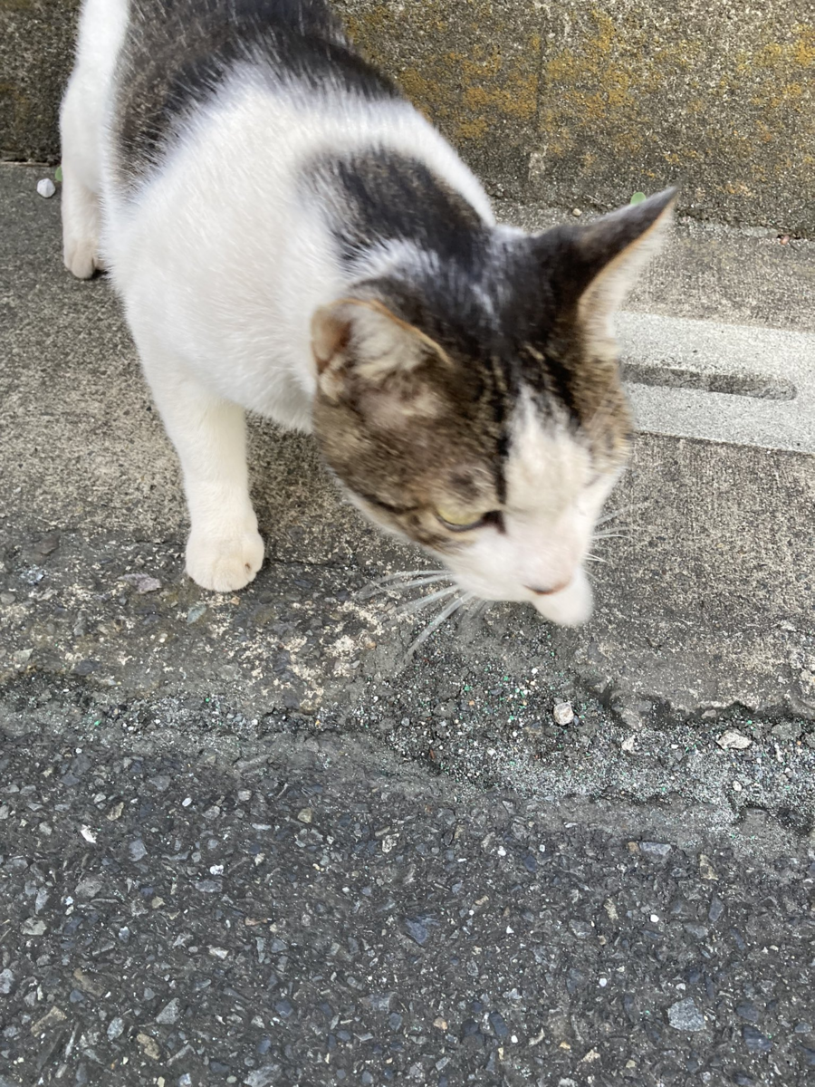 f:id:kidou:20210811113332p:plain