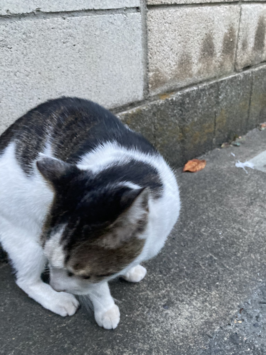 f:id:kidou:20210906114706p:plain