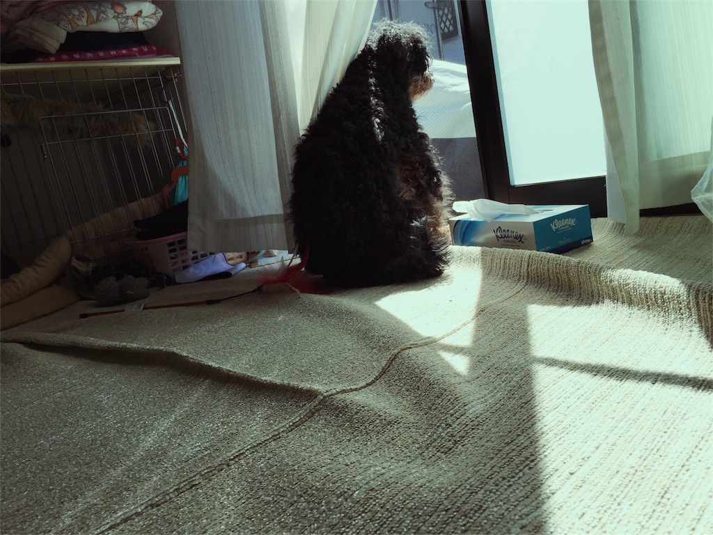 f:id:kidskind:20180317110820j:image