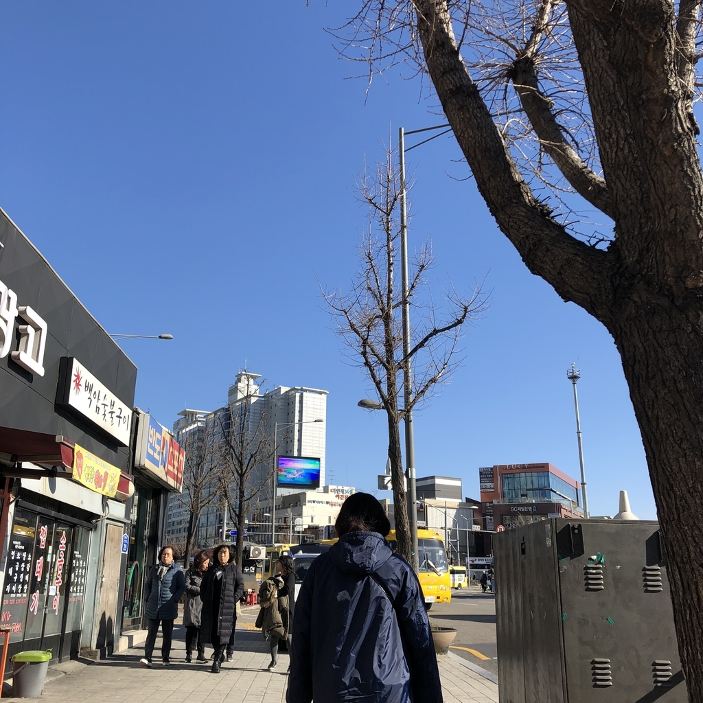 f:id:kidsmoo1221:20181228215749j:plain f:id:kidsmoo1221:20181228215749j:plain