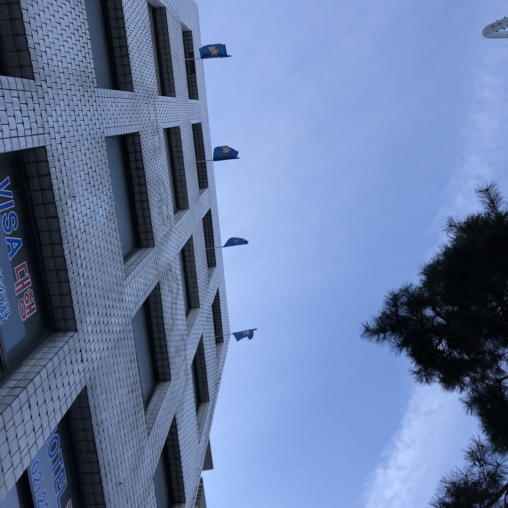 f:id:kidsmoo1221:20190113233500j:plain