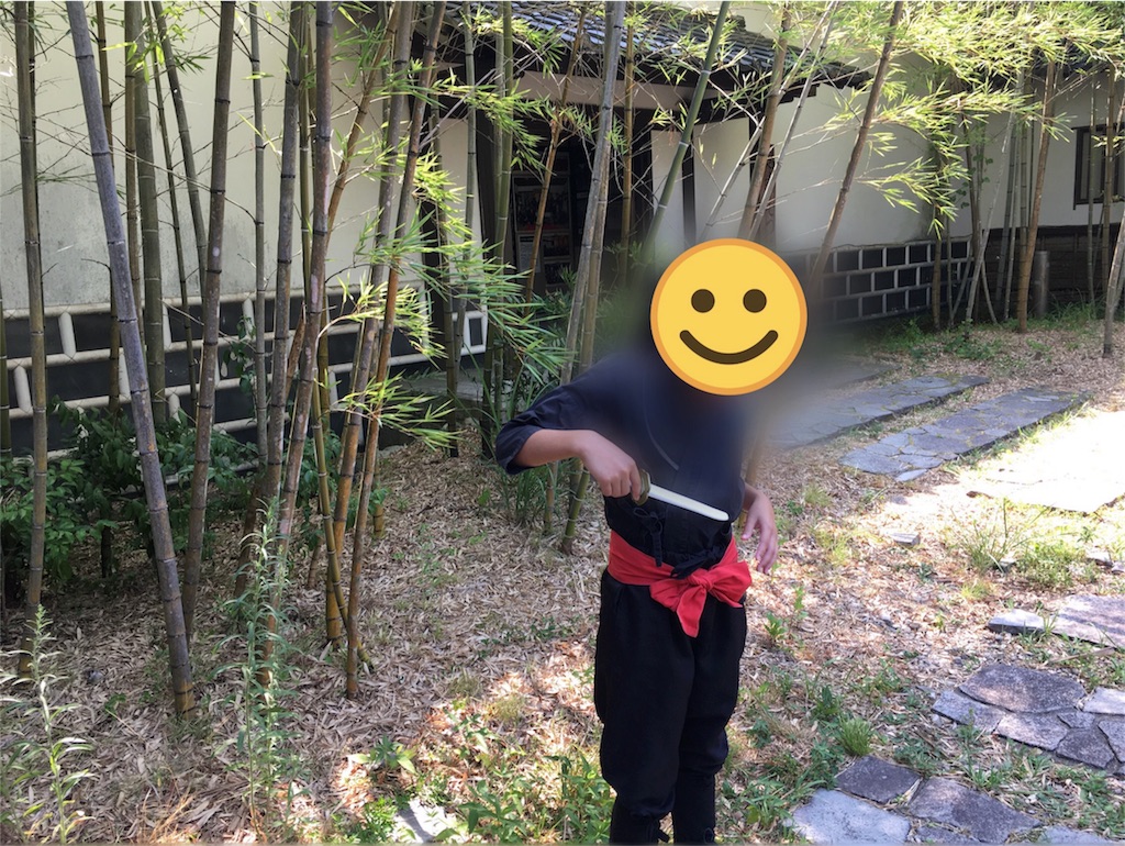 f:id:kidstokyomama:20180815151800j:plain f:id:kidstokyomama:20180815151800j:plain