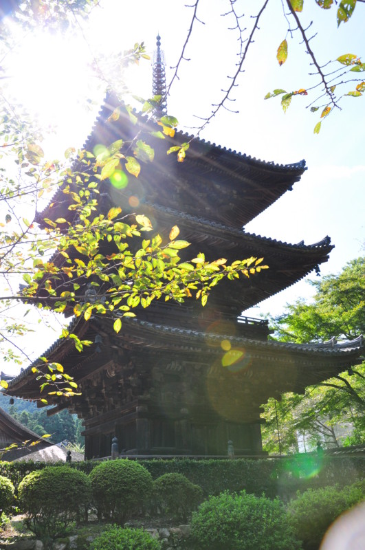 f:id:kifuyu:20101011123258j:image