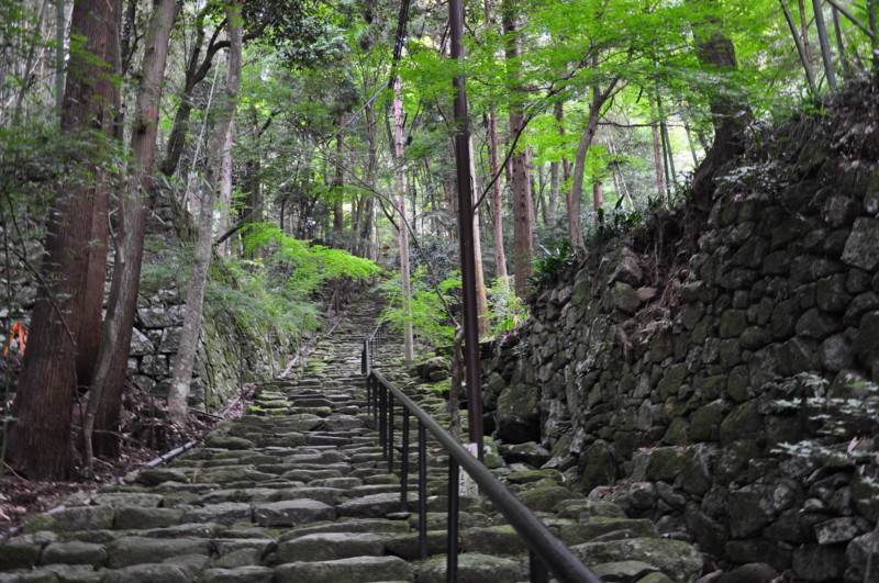 f:id:kifuyu:20101011145326j:image
