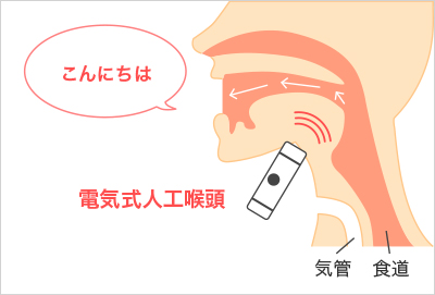 f:id:kigma:20190416162240p:plain