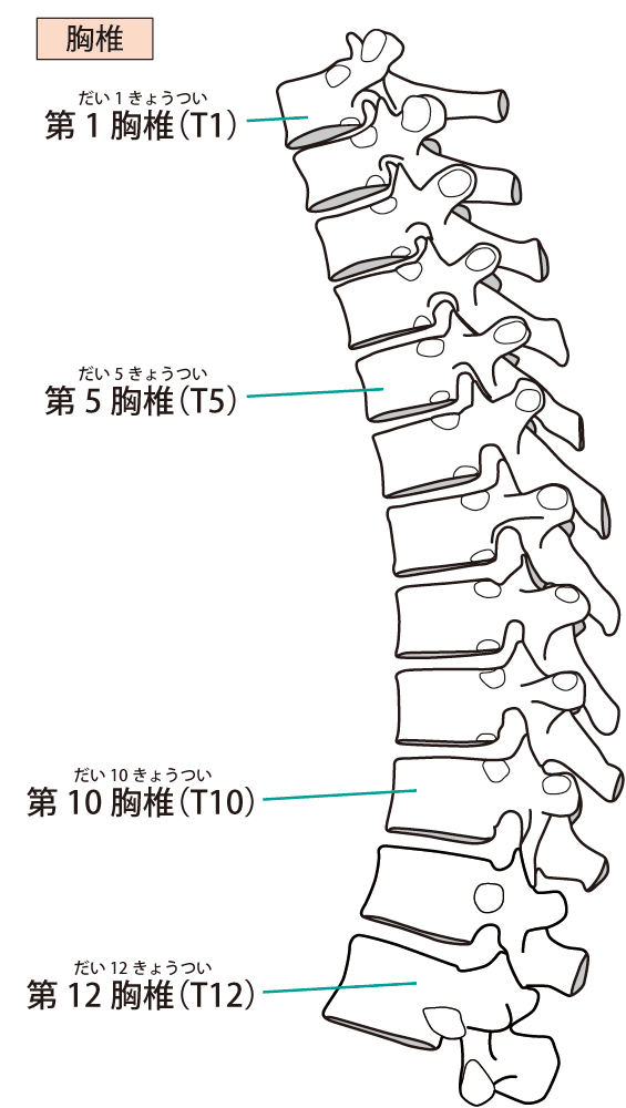 f:id:kigyou-pt:20200511184658j:plain