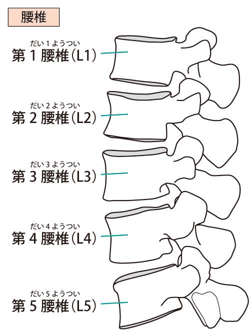 f:id:kigyou-pt:20200513150950j:plain