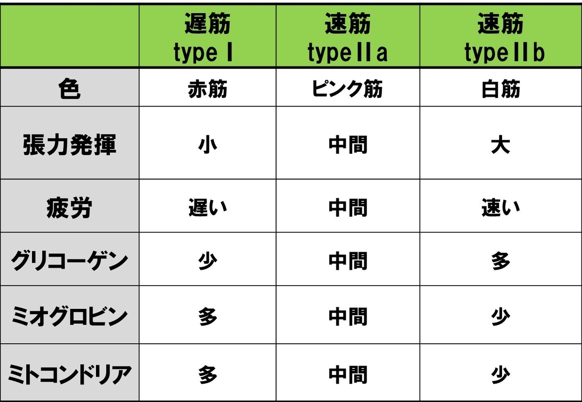 基礎から学ぶ 筋線維の種類 生理学的な分類 解剖生理学 Ptot国家試験対策ブログ