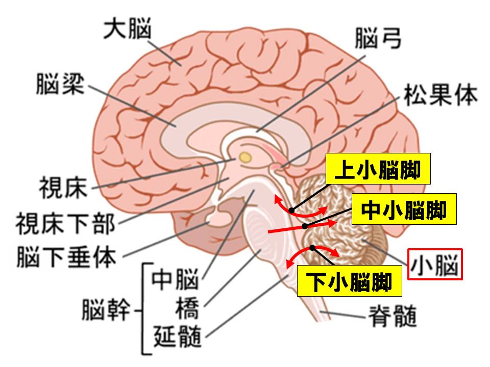 f:id:kigyou-pt:20200722101732j:plain