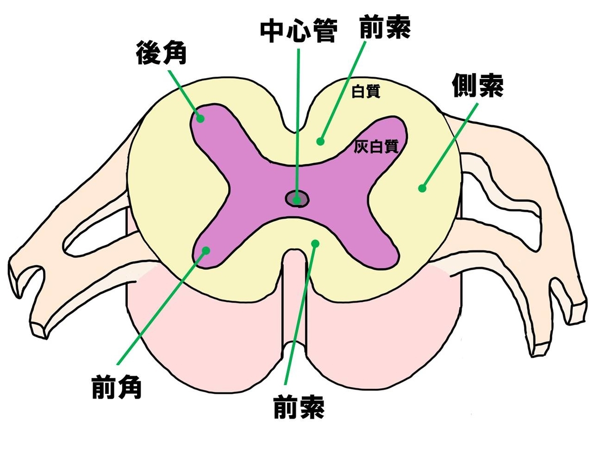 取り除く