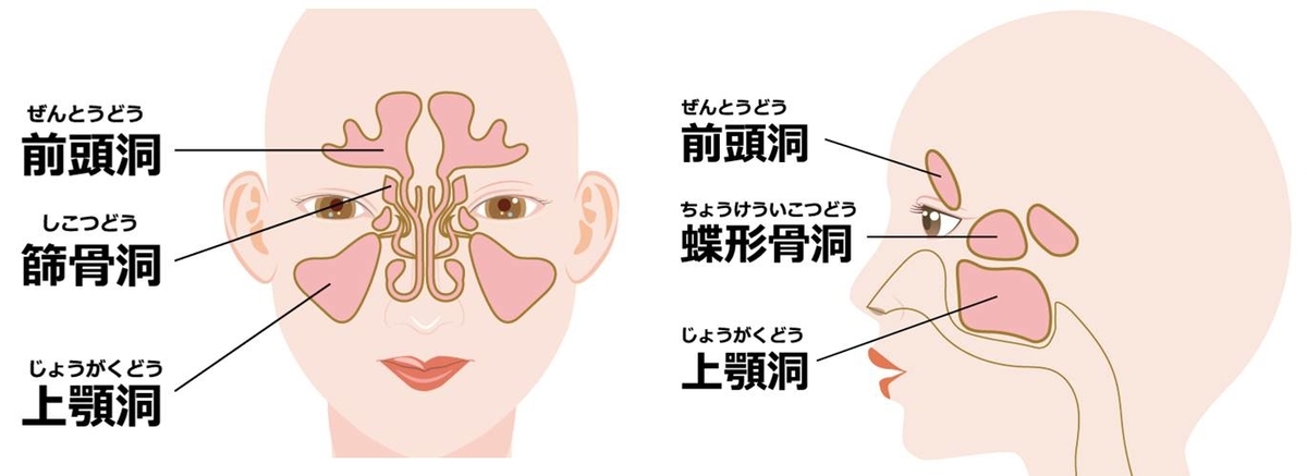 f:id:kigyou-pt:20200810091910j:plain f:id:kigyou-pt:20200810091910j:plain