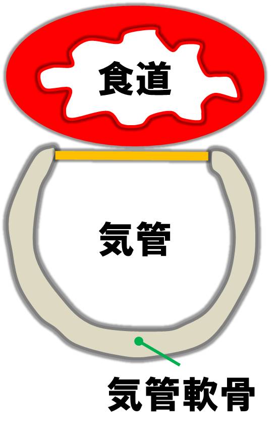 f:id:kigyou-pt:20200901160403j:plain