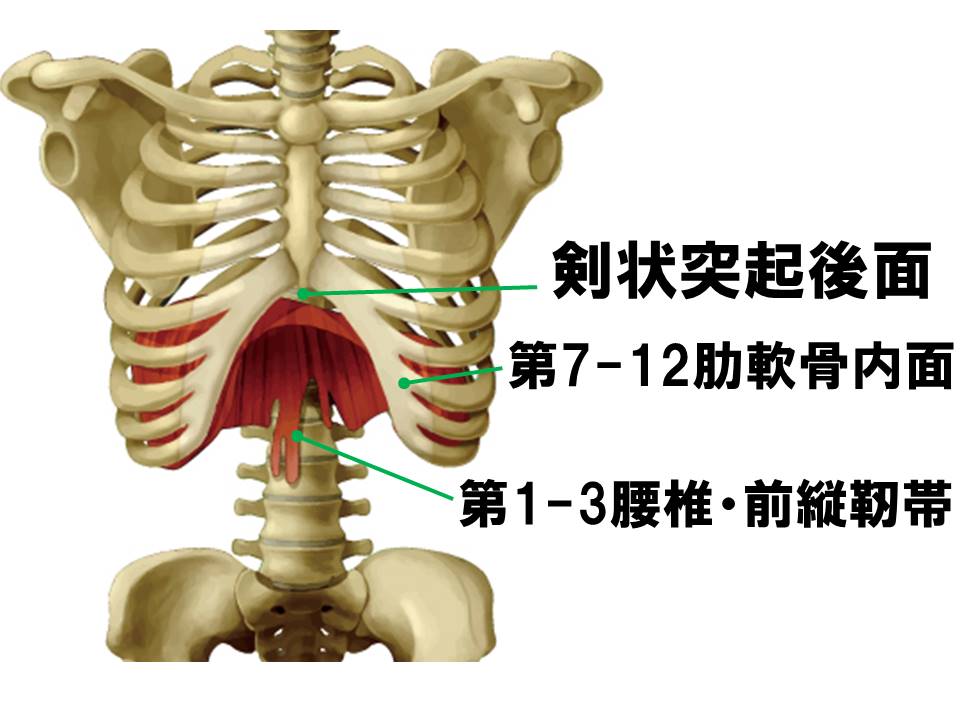 f:id:kigyou-pt:20200909095804j:plain f:id:kigyou-pt:20200909095804j:plain
