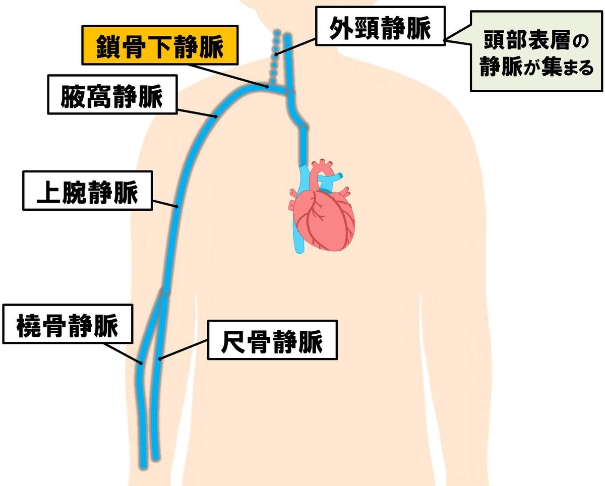 f:id:kigyou-pt:20201104063301j:plain