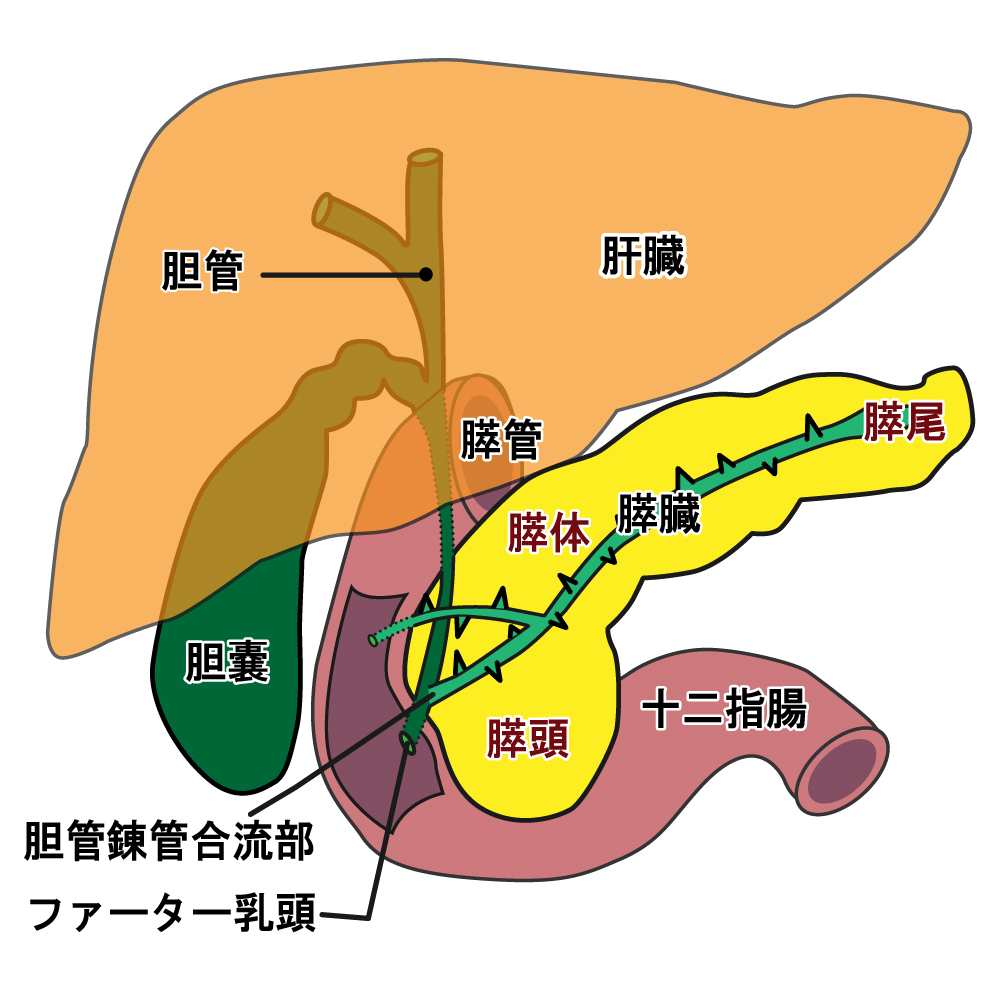 f:id:kigyou-pt:20201130055822j:plain