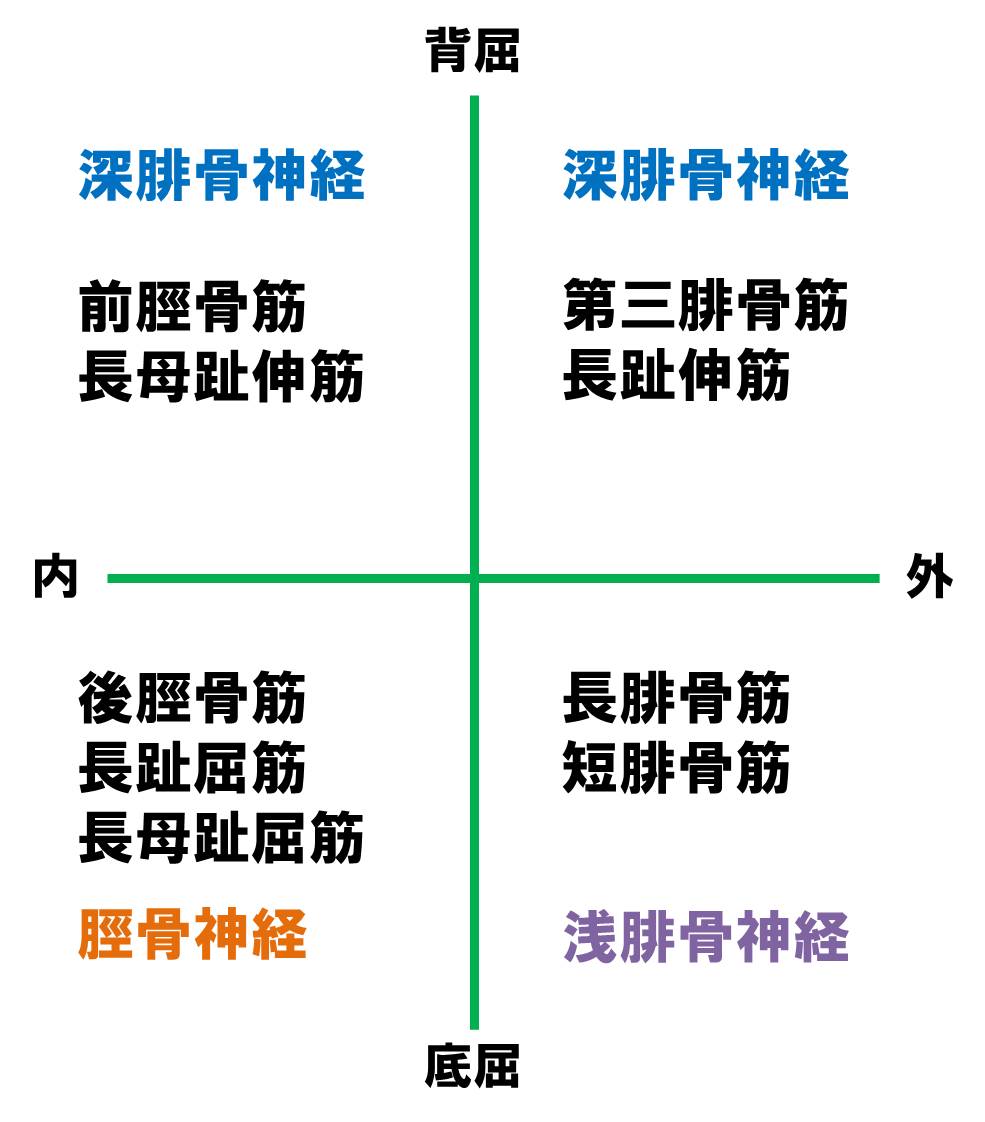 f:id:kigyou-pt:20201218120947j:plain