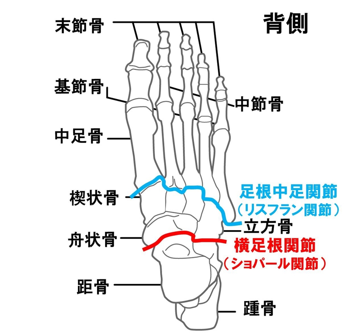 f:id:kigyou-pt:20201219085635j:plain