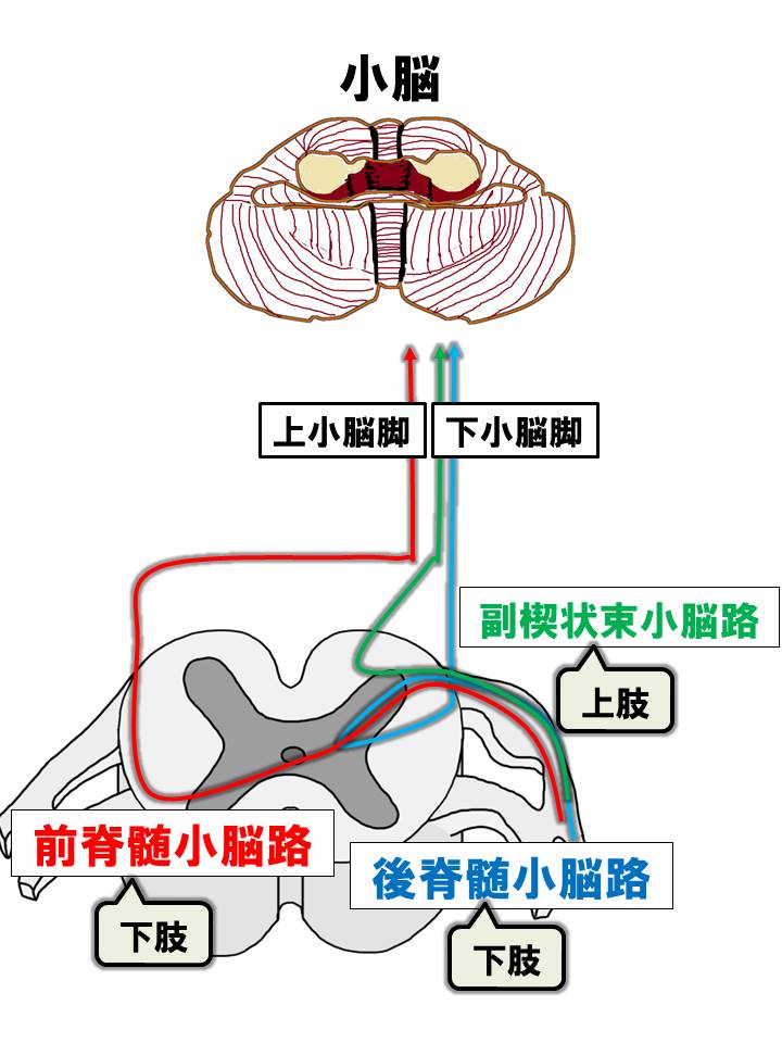 f:id:kigyou-pt:20210110054355j:plain