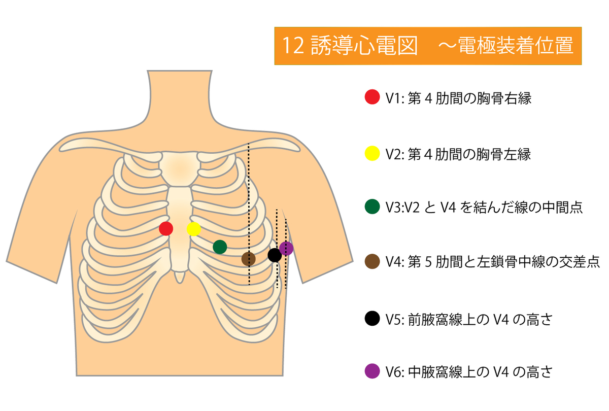 f:id:kigyou-pt:20210128181753j:plain