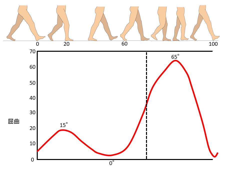 Lucky　関節可動域 、歩行運動学 Lucky 関節可動域 、歩行運動学 Lucky 関節可動域 、歩行運動学 Lucky