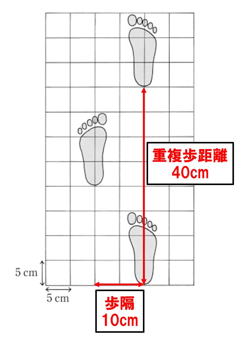 基礎から学ぶ】歩行【運動学】 - PTOT国試対策 ー西島ゼミー