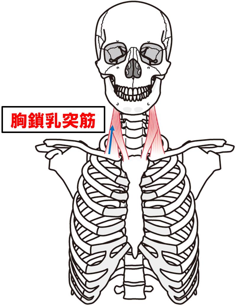 f:id:kigyou-pt:20210312081237j:plain