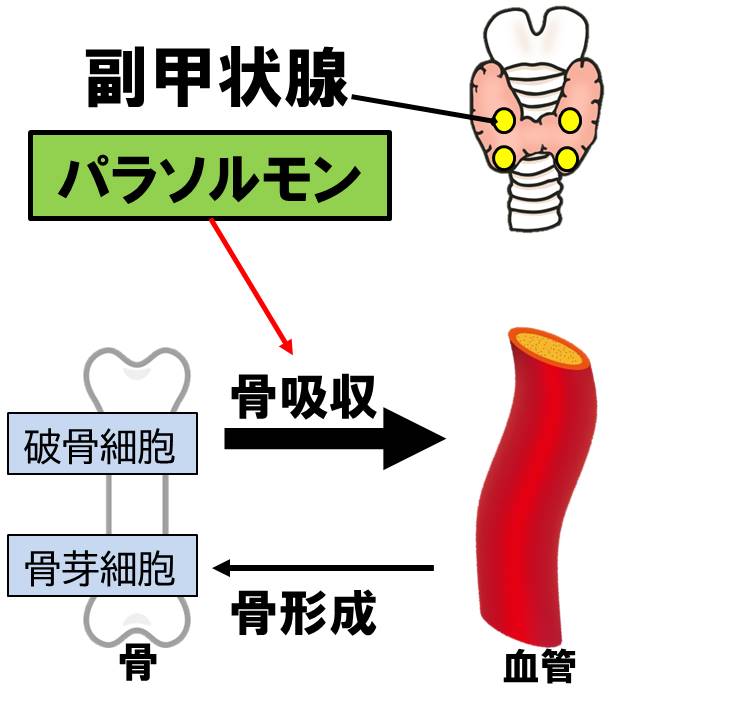 f:id:kigyou-pt:20210514083012j:plain