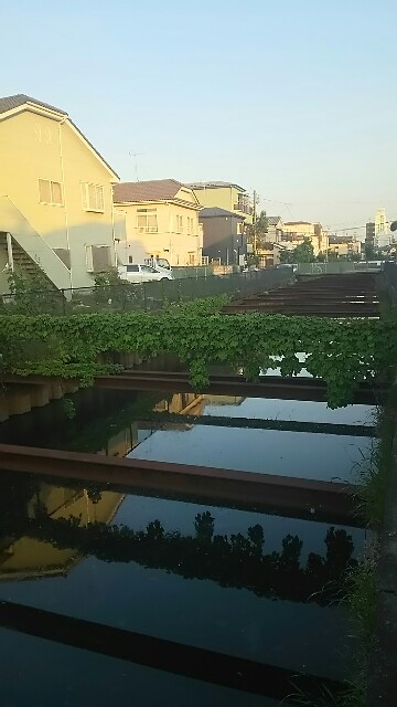 f:id:kiha-gojusan-hyakusan:20160505213215j:image f:id:kiha-gojusan-hyakusan:20160505213215j:image