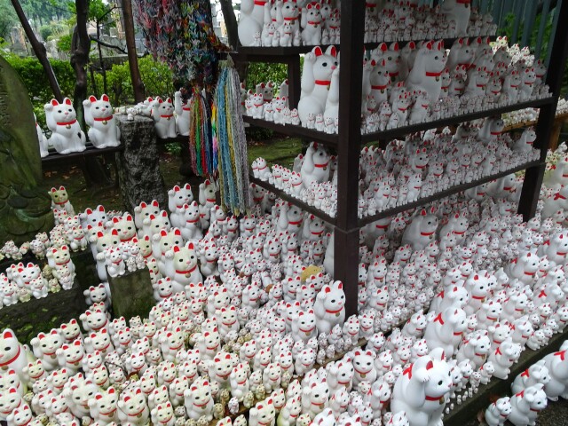 f:id:kiha-gojusan-hyakusan:20161008135115j:image