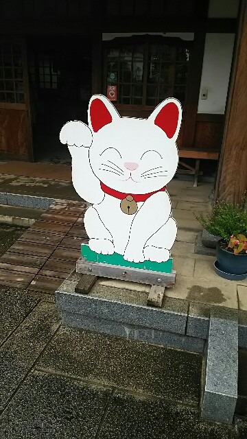 f:id:kiha-gojusan-hyakusan:20161008135123j:image