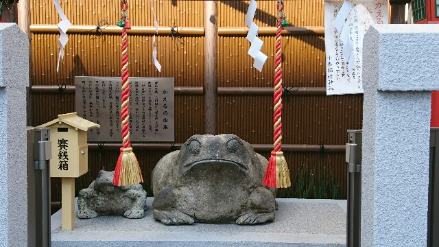 f:id:kiha-gojusan-hyakusan:20170301125525j:image f:id:kiha-gojusan-hyakusan:20170301125525j:image