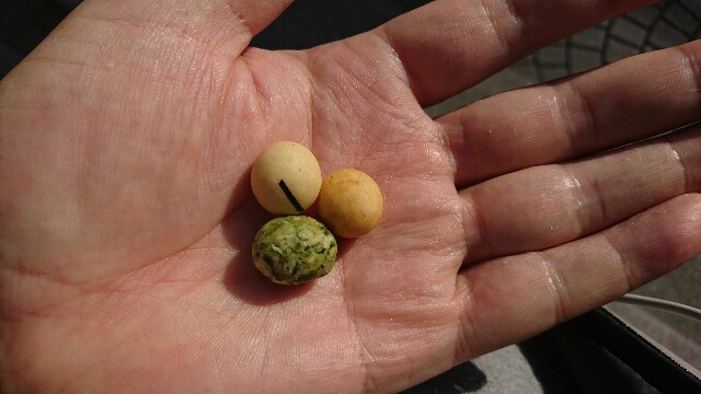 f:id:kiha-gojusan-hyakusan:20170301131030j:image f:id:kiha-gojusan-hyakusan:20170301131030j:image