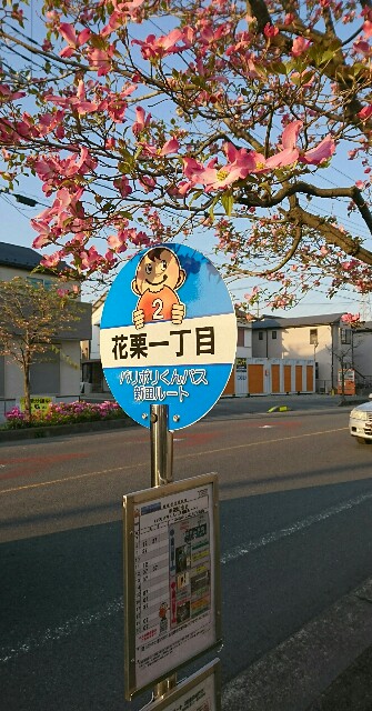 f:id:kiha-gojusan-hyakusan:20200426045559j:image