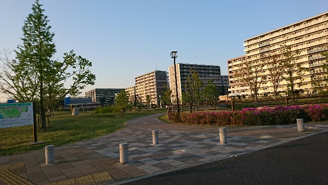 f:id:kiha-gojusan-hyakusan:20200426045921j:image