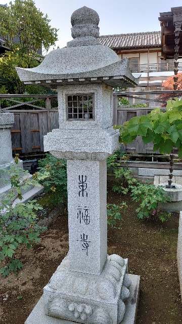 f:id:kiha-gojusan-hyakusan:20200607225524j:image f:id:kiha-gojusan-hyakusan:20200607225524j:image
