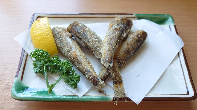 f:id:kiha-gojusan-hyakusan:20220810212419j:image f:id:kiha-gojusan-hyakusan:20220810212419j:image