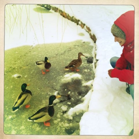 f:id:kiha-kn:20121215104956j:image f:id:kiha-kn:20121215104956j:image