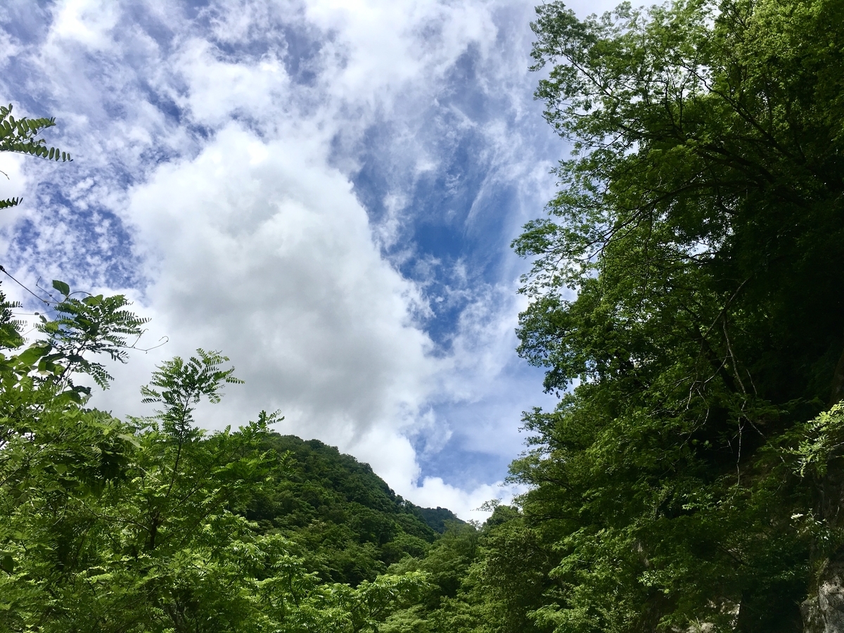 f:id:kihadamaglow:20210712152550j:plain
