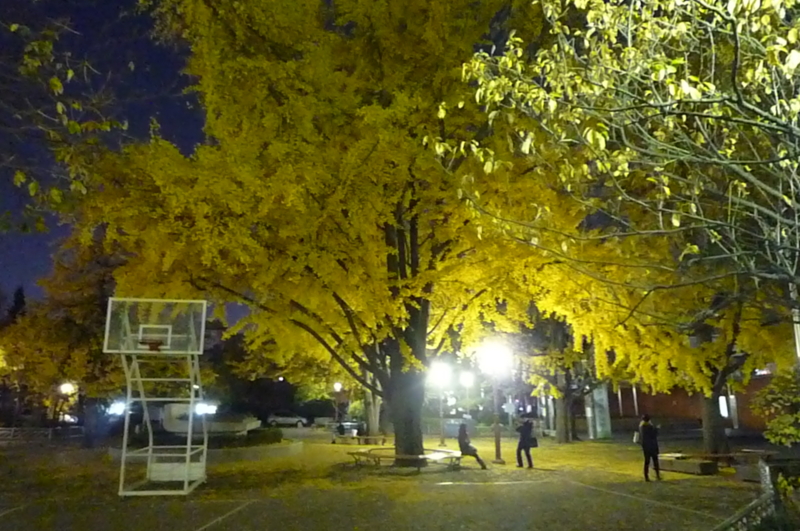 f:id:kiharin:20101112211502j:image