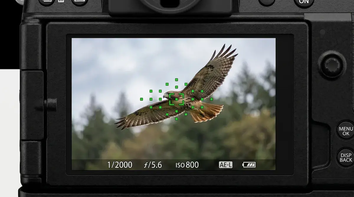 x-s10のモニターに表示された飛行中のタカにピントを合わせたイメージ画像