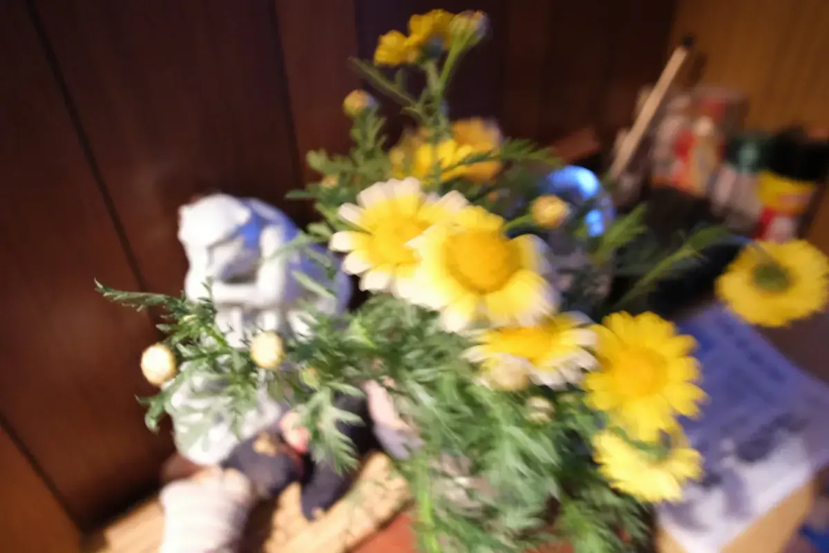 手ブレ補正がオフのために全体が大きくブレてピンボケになってしまった写真（失敗例）