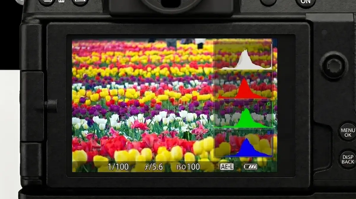 モニターに映る色とりどりのチューリップ。モニターにはヒストグラムが表示されている