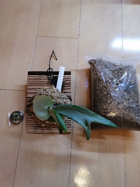 f:id:kii30:20191208171041j:image