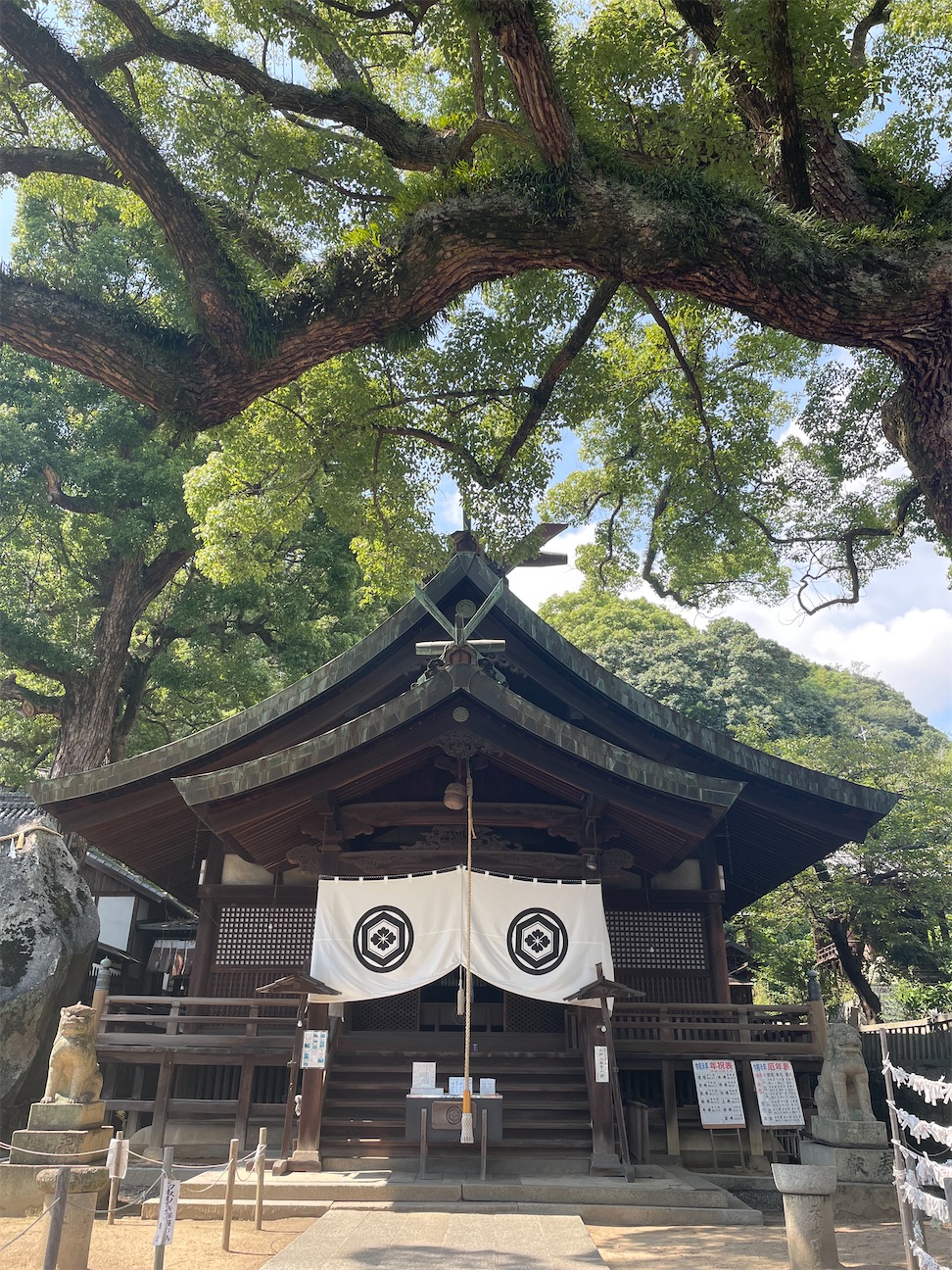 f:id:kiib:20260922115835j:image