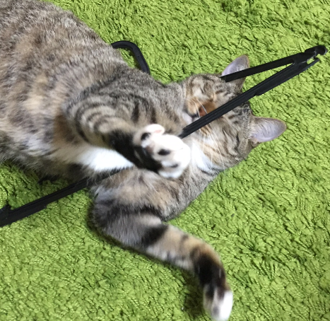 f:id:kiichangazie:20161002121343p:plain f:id:kiichangazie:20161002121343p:plain