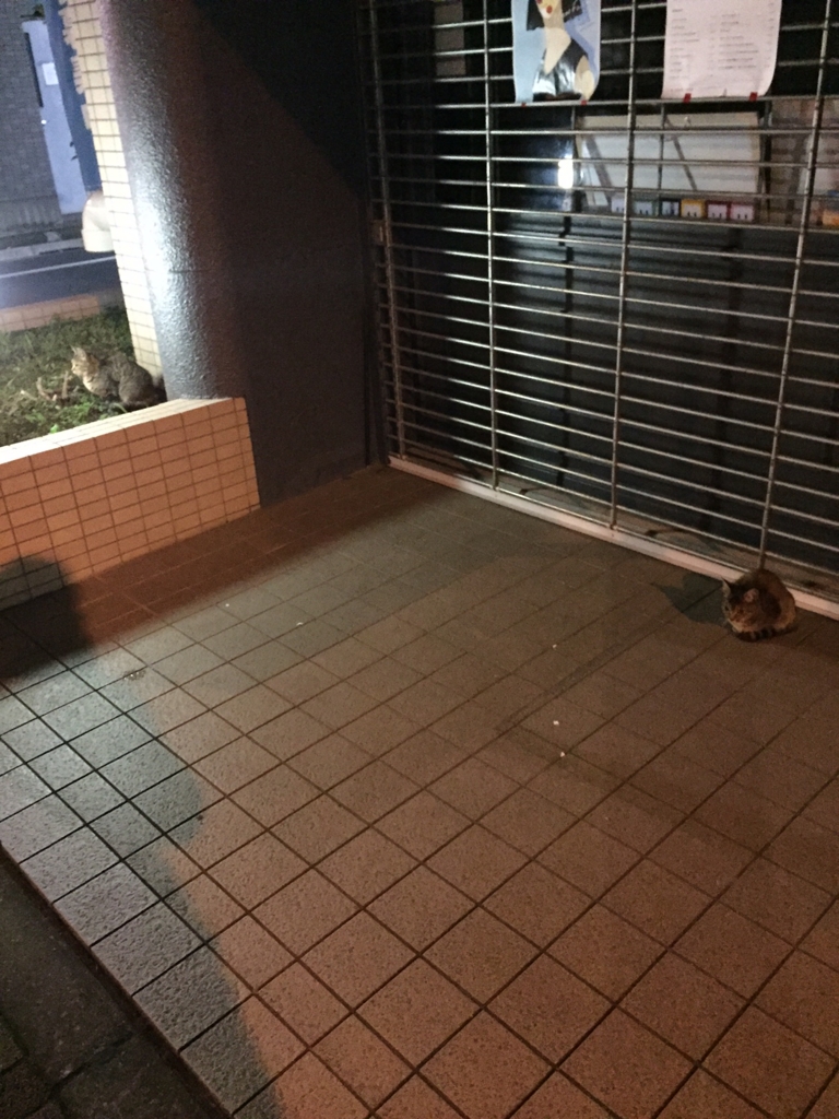f:id:kiichangazie:20161113014141j:plain f:id:kiichangazie:20161113014141j:plain