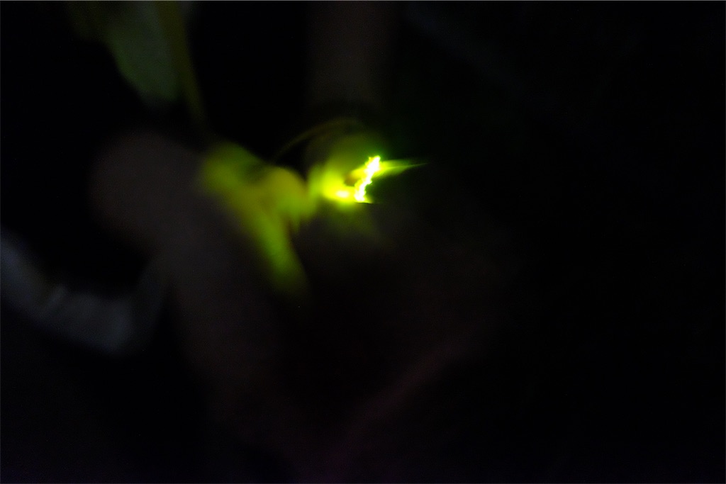 f:id:kiichangazie:20190728170828j:image