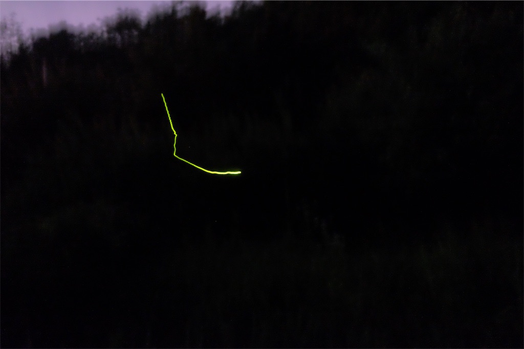 f:id:kiichangazie:20190728170840j:image